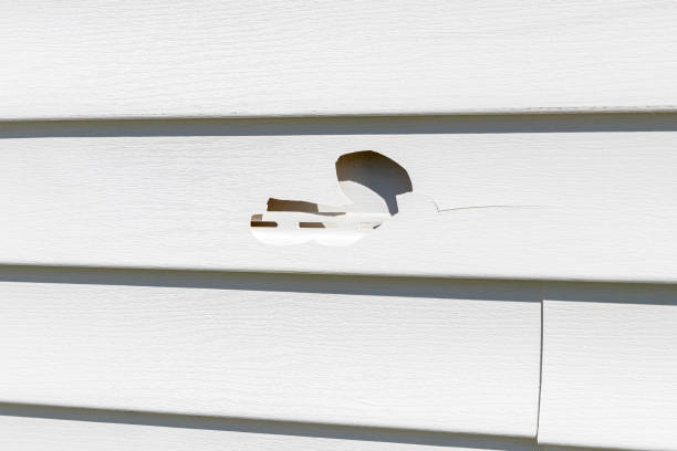 Best Hoarding Cleanup  in Wellington, TX